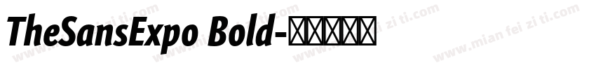 TheSansExpo Bold字体转换